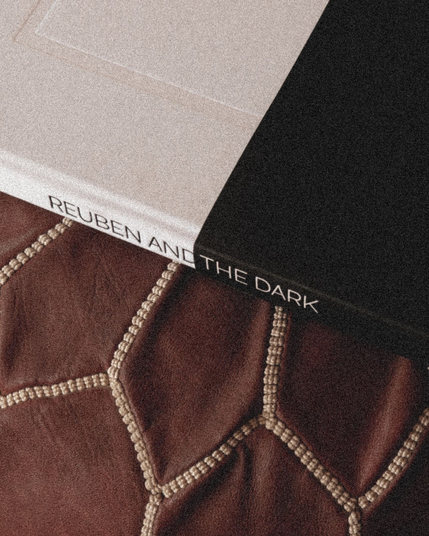 Reuben and the Dark Song Lyrics Book