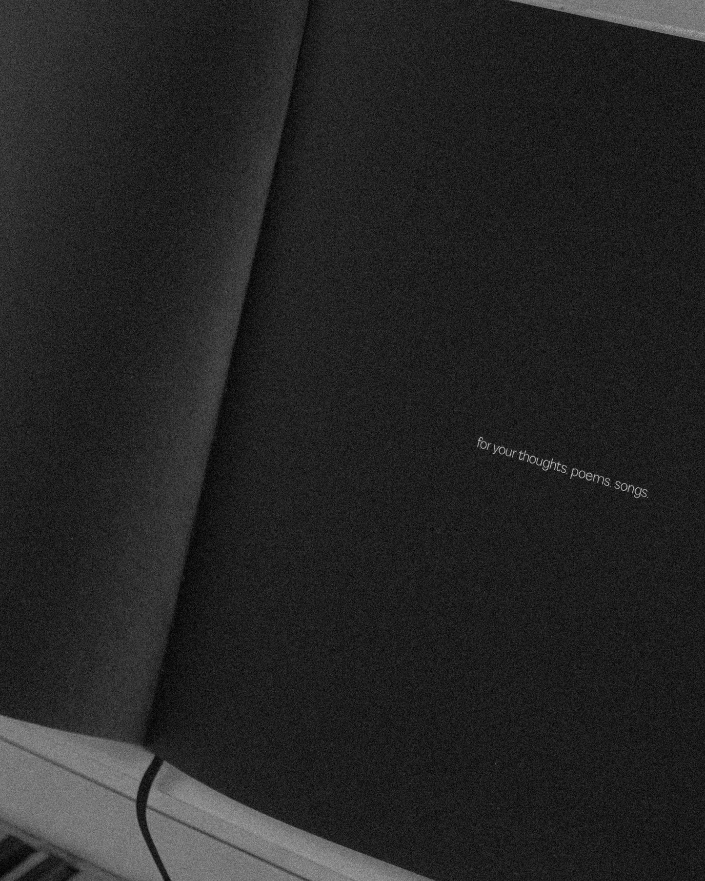 Reuben and the Dark Song Lyrics Book